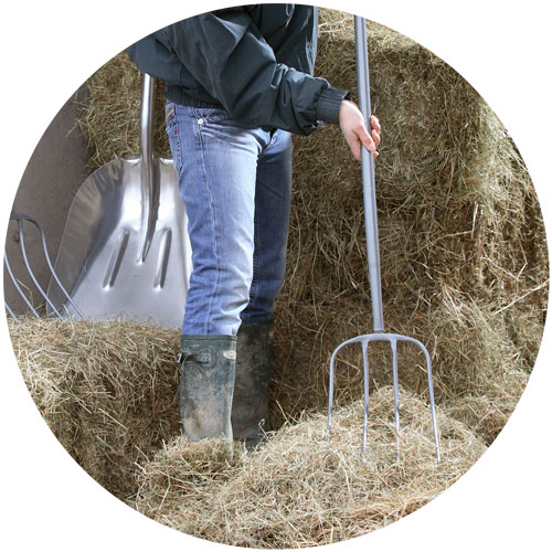 spear and jackson manure fork