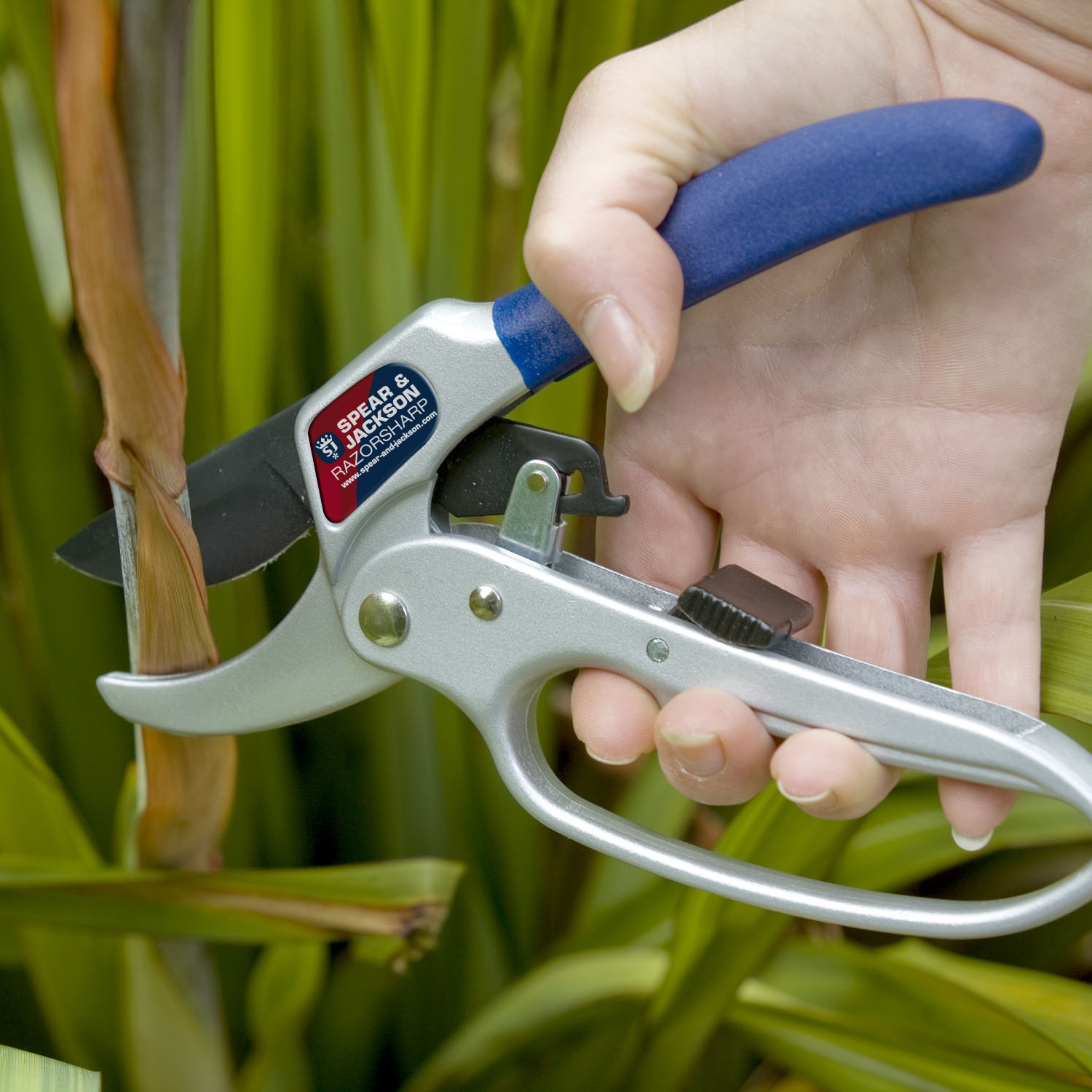 6358RS Ratchet Anvil Secateurs Spear & Jackson