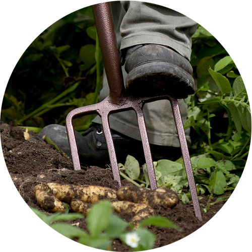 Elements Digging Fork | Spear & Jackson