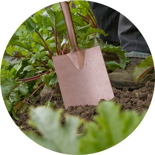 Elements Digging Spade Spear & Jackson