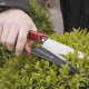 Topiary Shears
