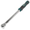 Torque Wrenches - with ratchet heads