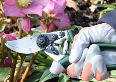 Secateurs