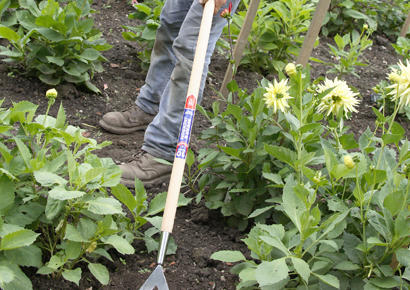 Cultivators