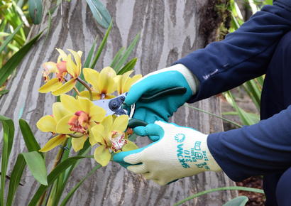 New Gloves in the Spear & Jackson Kew Gardens Collection - Spear