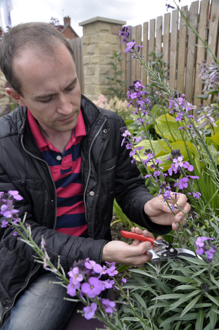 Lee pruning