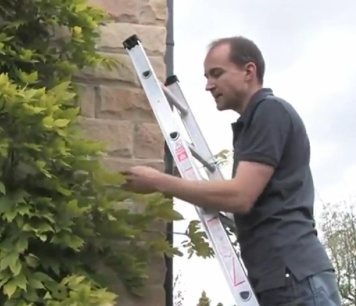 Pruning Wisteria